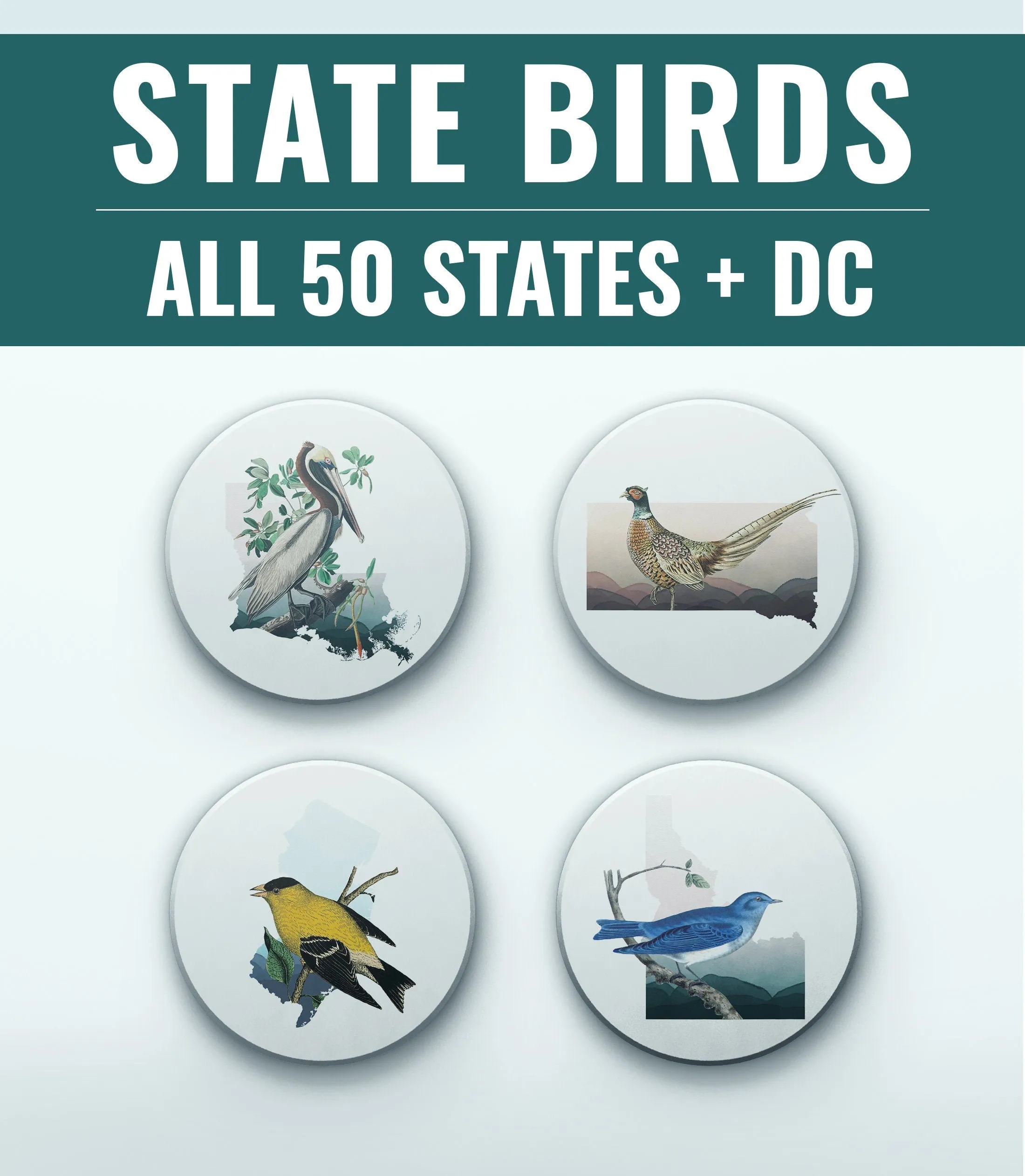 Arizona state bird coaster set, set of coasters, bird lover gift, bird home decor, Arizona home decor, Arizona housewarming gifts, southwest