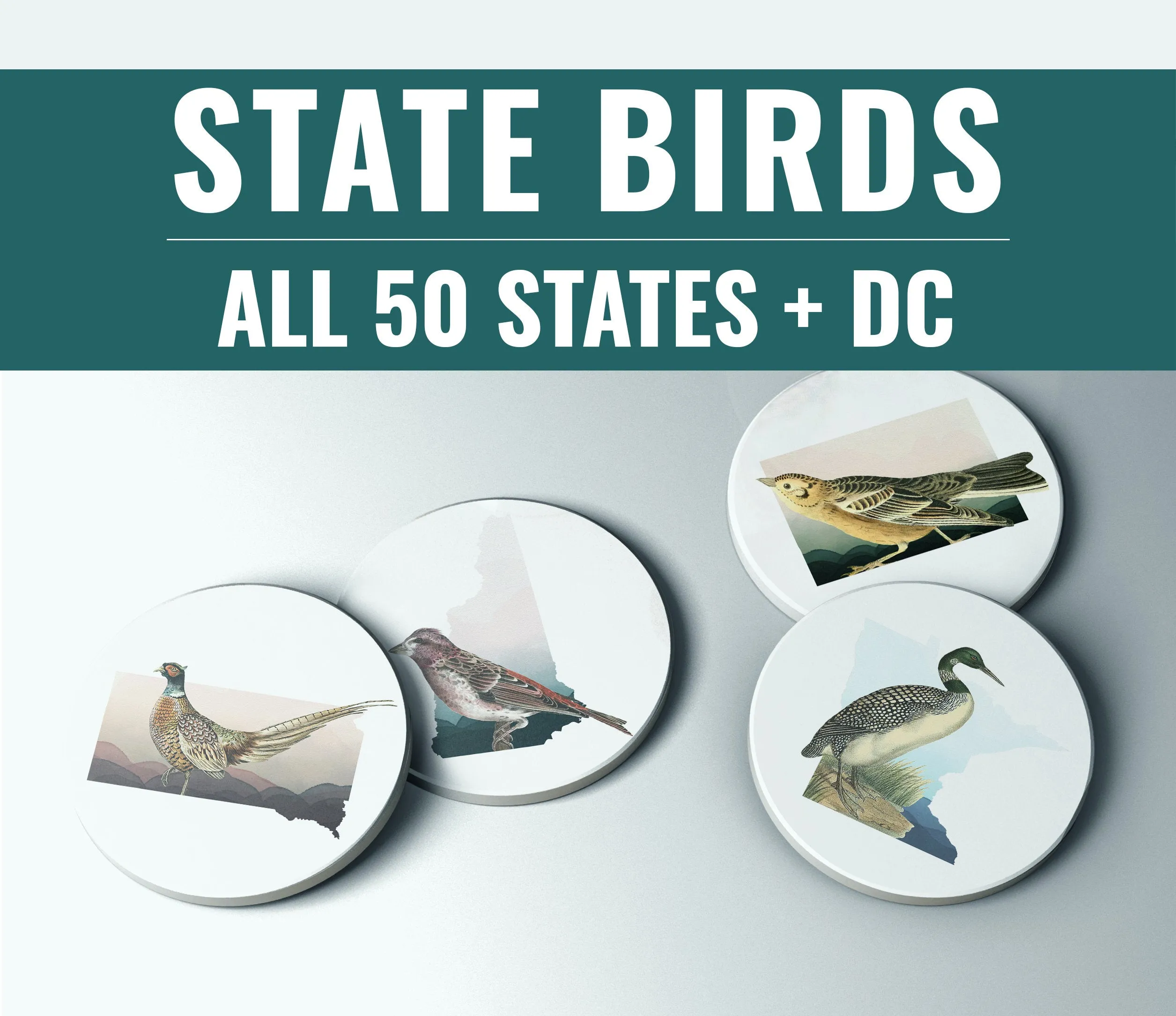 Arizona state bird coaster set, set of coasters, bird lover gift, bird home decor, Arizona home decor, Arizona housewarming gifts, southwest