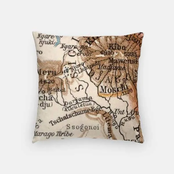 Arusha, Tanzania city skyline with vintage Arusha map