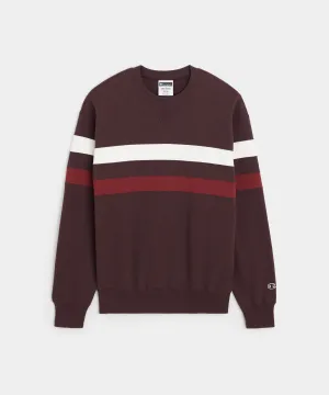 Champion Striped Crewneck in Cordovan