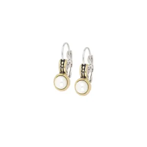 Ocean Images Collection - 6mm French Wire Earrings