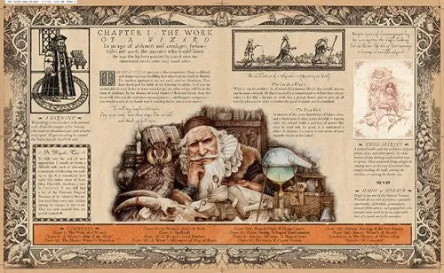 Wizardology